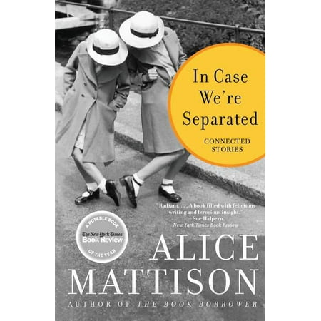 In Case We're Separated: Connected Stories, (Paperback)