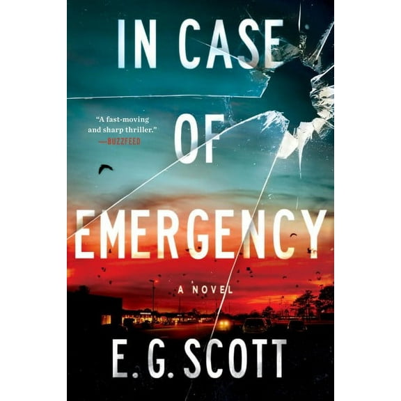 In Case of Emergency : A Novel (Paperback)