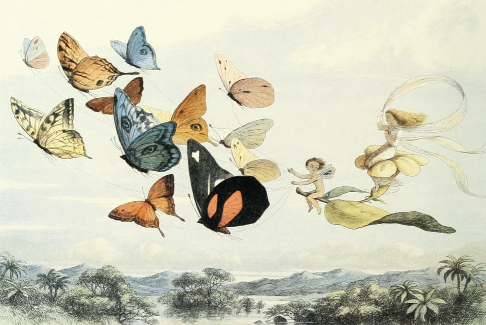 In Fairyland 1869 Fairy Queen takes an airy drive Canvas Art - Richard Doyle (24 x 36)