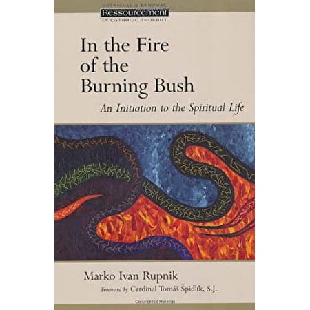 Pre-Owned In the Fire of the Burning Bush: An Initiation to the Spiritual Life (Paperback) 0802828329 9780802828323