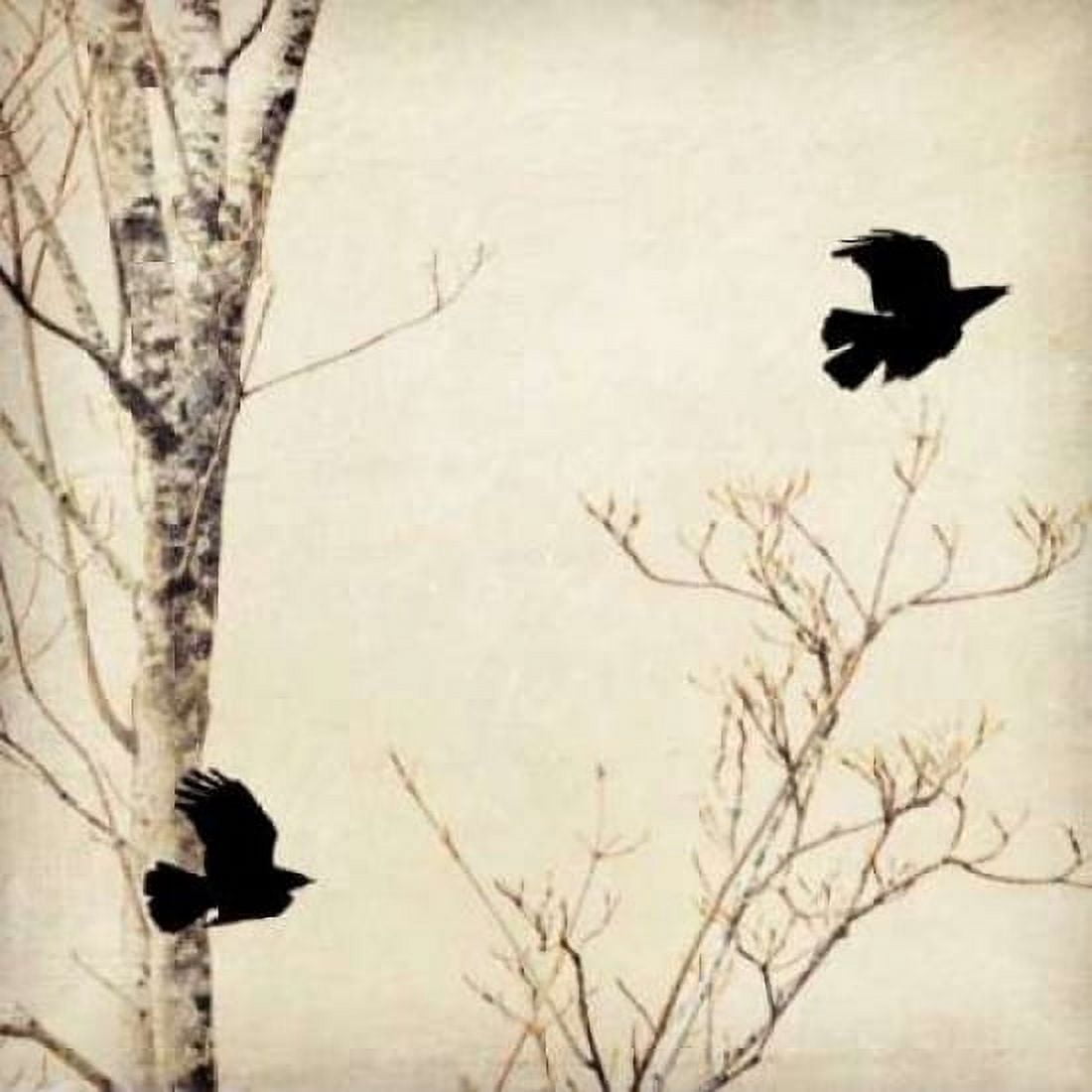 In Flight I Canvas Art - Amy Melious (24 x 24)