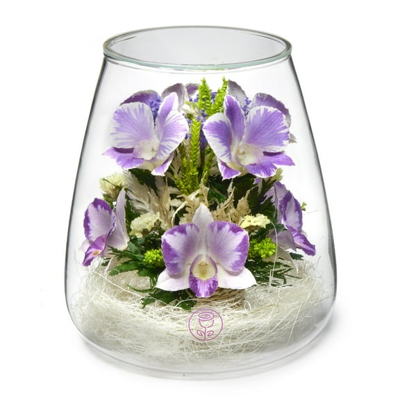 In Flores Veritas: Mystic Orchid Tower - Lasts up to 5 Years - Elegant Gift for Any Occasion