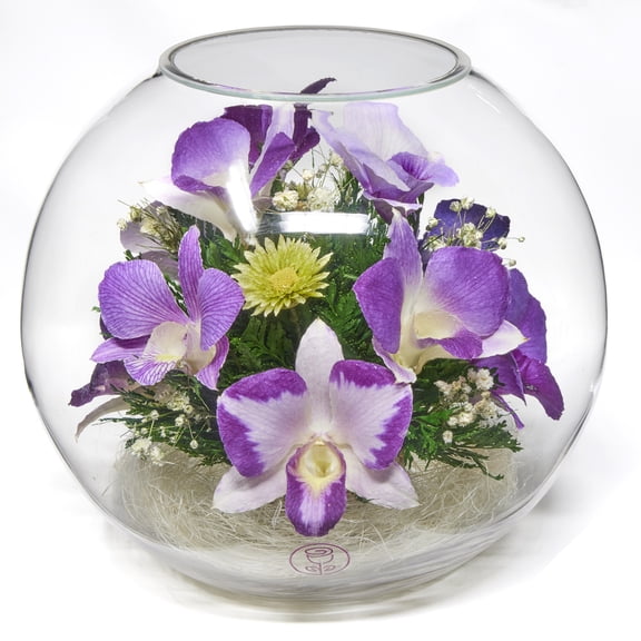 In Flores Veritas: Orchid Spectrum Bowl - Lasts up to 5 Years - Elegant Gift for Any Occasion