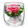 thumbnail image 1 of In Flores Veritas: Single Eternal Rose in Sealed Glass Vase - Lasts up to 5 Years - Unique Gift for Any Occasion, 1 of 4