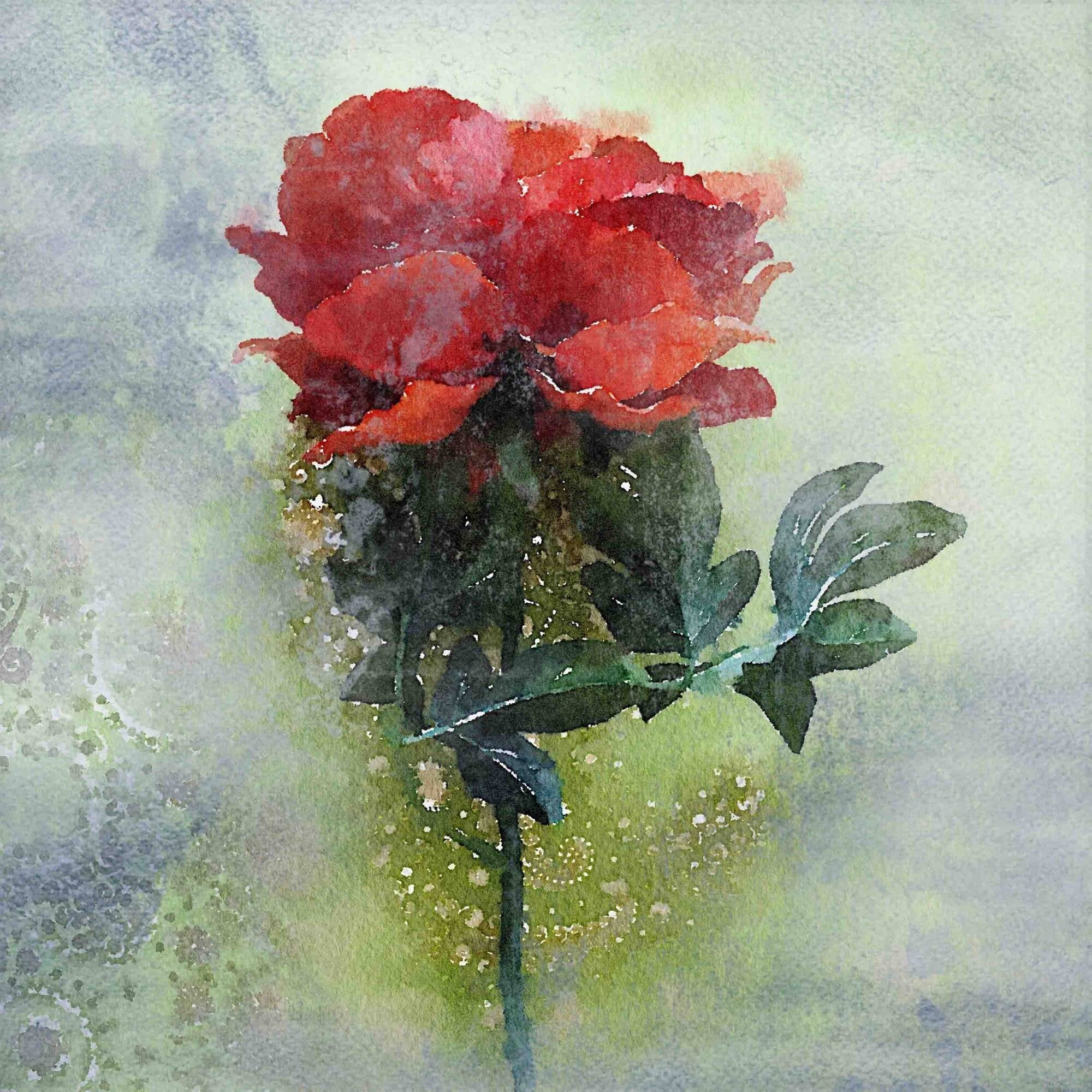 "In Full Bloom" Painting Print on Wrapped Canvas
