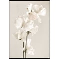 thumbnail image 1 of In Full Bloom Poster Wall Art, Modern Wall Decor For Living Room Bedroom, 24x36 UNFRAMED, 1 of 2