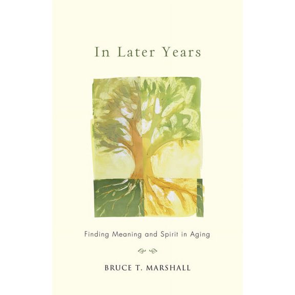 In Later Years : Finding Meaning and Spirit in Aging (Paperback)