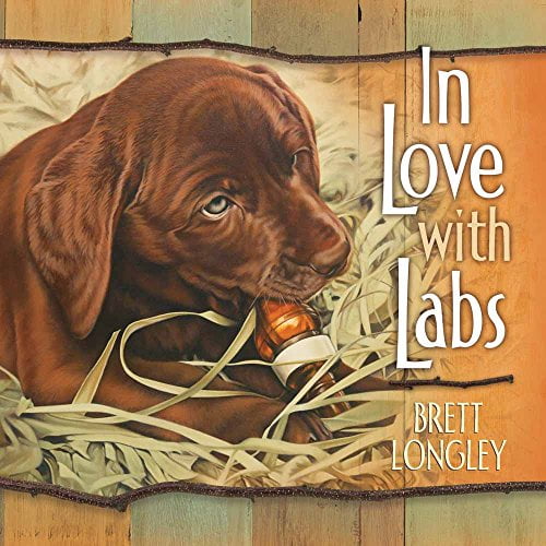 Pre-Owned In Love with Labs (Hardcover) 9780736921565