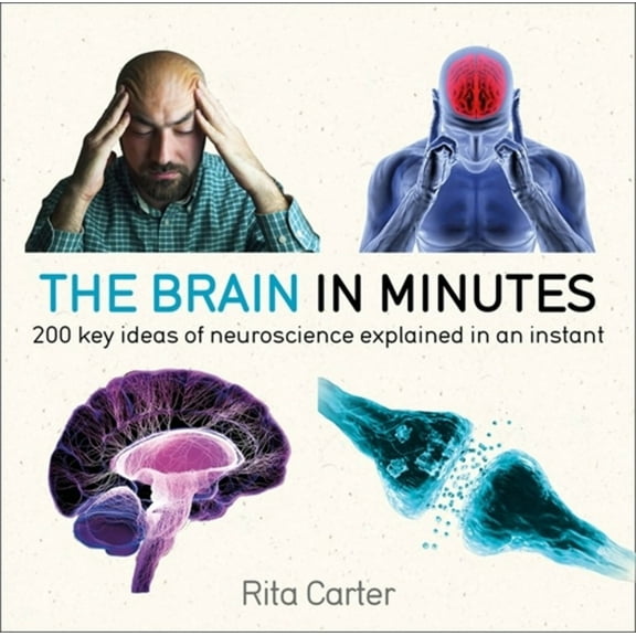 In MInutes: The Brain in Minutes : 200 key ideas of neuroscience explained in an instant (Paperback)