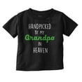 thumbnail image 1 of In Memory of Father Grandfather Sweet Toddler Boy Girl T Shirt Infant Toddler Brisco Brands 12M, 1 of 6