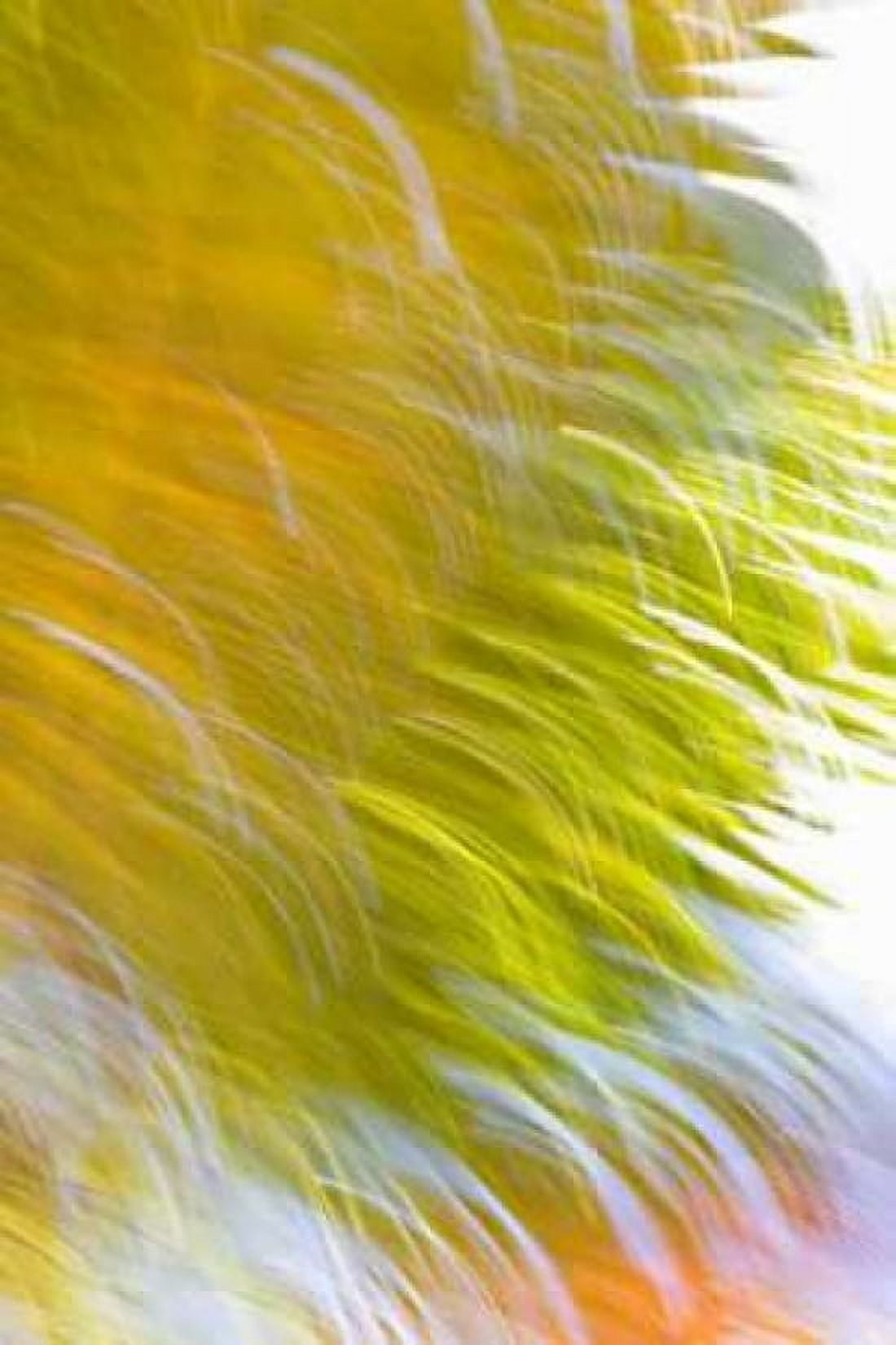 In Motion I Canvas Art - Karyn Millet (24 x 36)