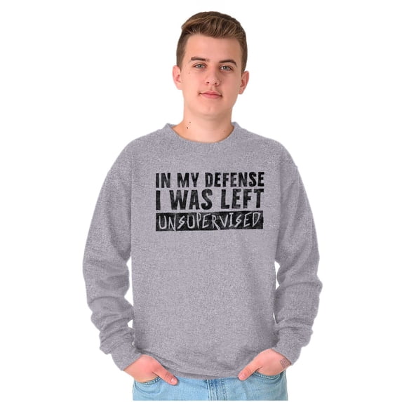 In My Defense I Was Left Unsupervised Unisex Plus Fleece Graphic Sweatshirt Brisco Brands 2X