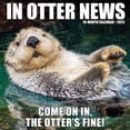 thumbnail image 1 of In Otter News 2026 12 X 12 Wall Calendar, (Hardcover), 1 of 5
