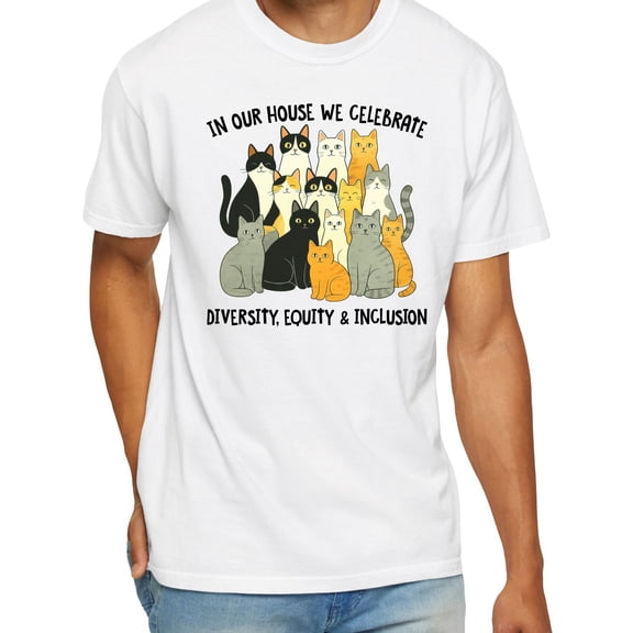 In Our House We Celebrate Diversity Equity And Inclusion Cat Lady T-Shirt
