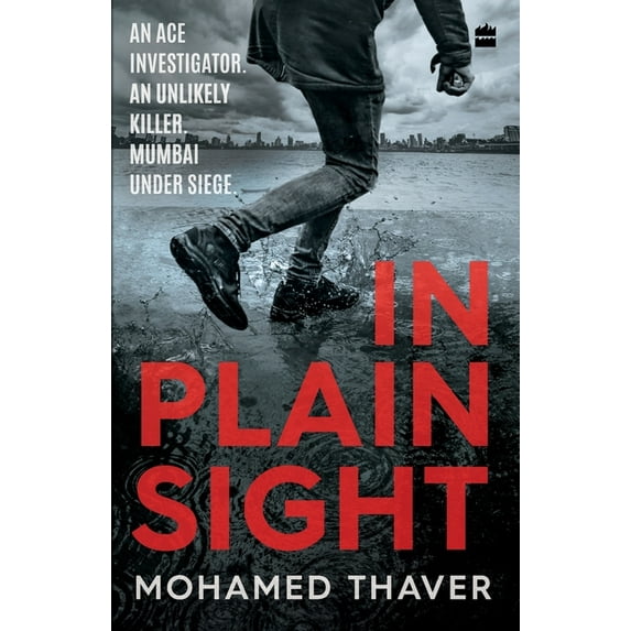 In Plain Sight, (Paperback)