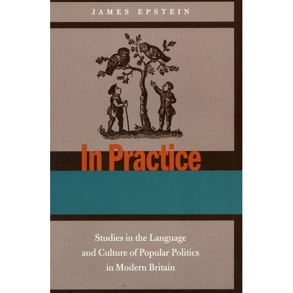 In Practice : Studies in the Language and Culture of Popular Politics in Modern Britain (Paperback)