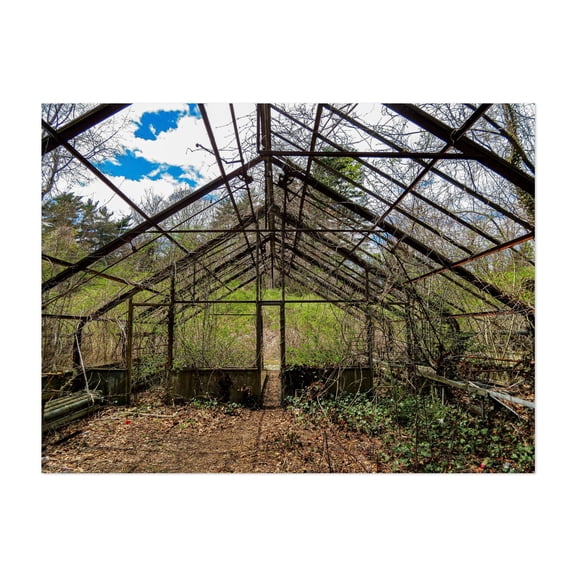 In Ruins - Glen Cove New York Photography Abandoned Rustic Nature Architecture Garden Woodland Wilderness Unframed Wall Art Print 9 x 12 inches