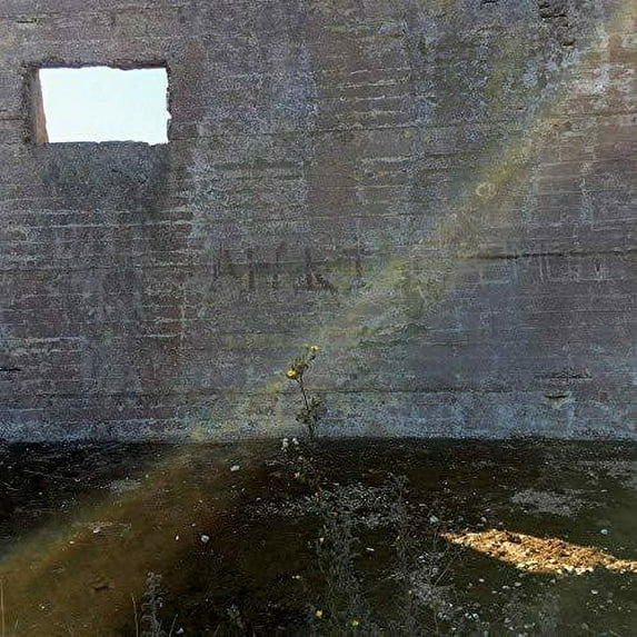 In Search Of The Miraculous (CD)