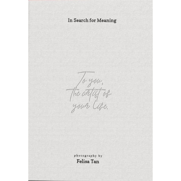 In Search for Meaning (Hardcover)
