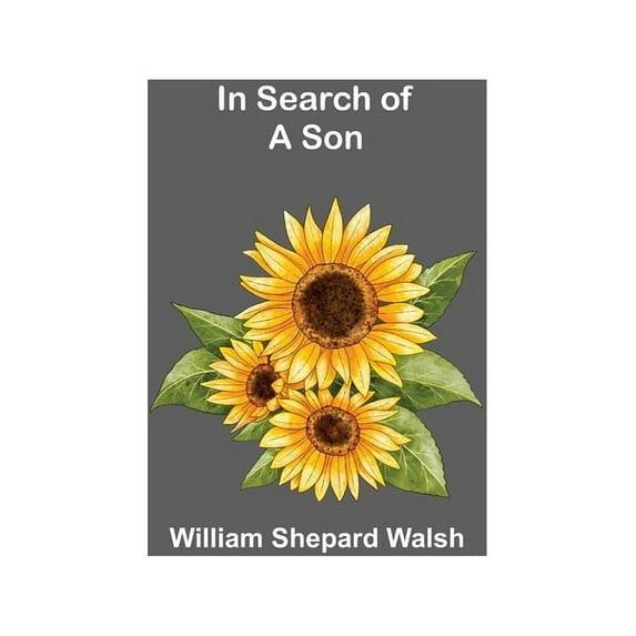 In Search of a Son, (Paperback)