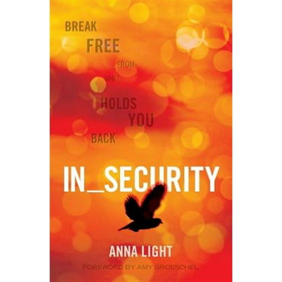 In_Security: Break Free from what Holds You Back (Paperback)