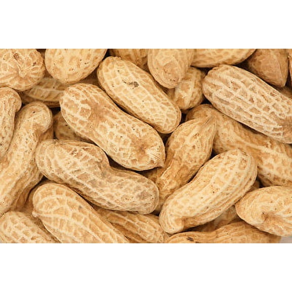 In Shell Dry Roasted Peanuts Unsalted