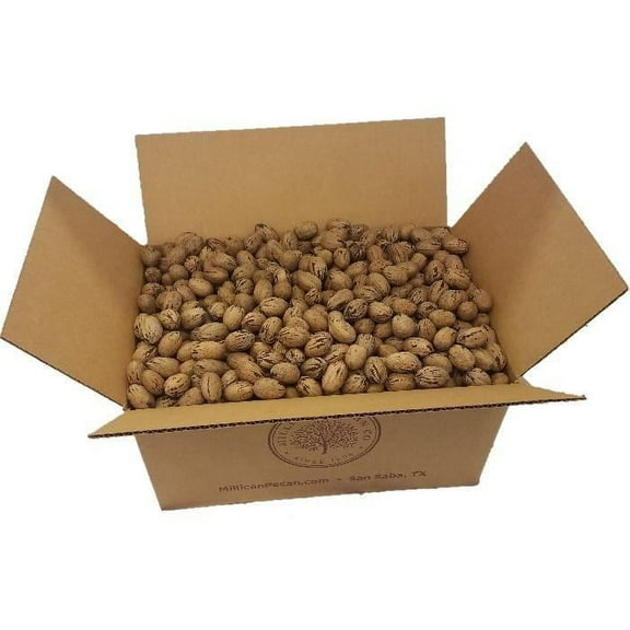 In Shell Pecans - Bulk