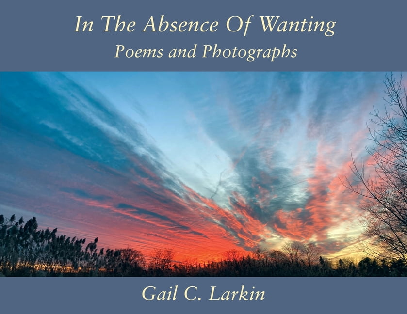 In The Absence Of Wanting: Poems and Photographs, (Paperback) - Walmart.com