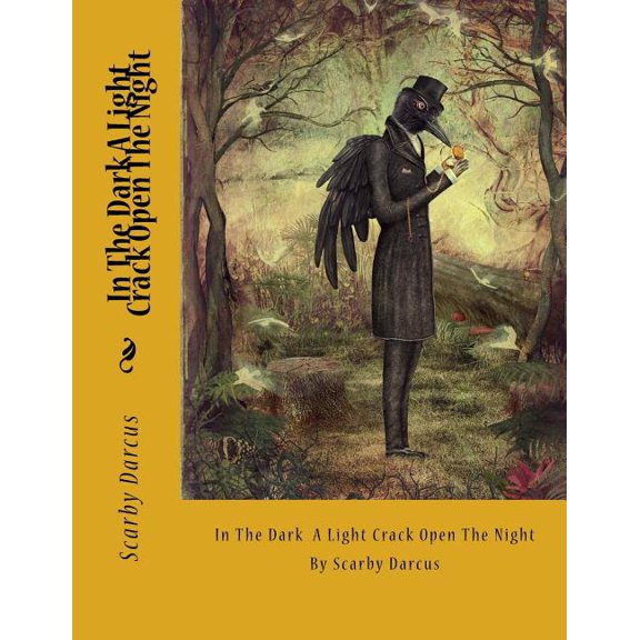 In The Dark A Light Crack Open The Night: By Scarby Darcus (Paperback)