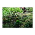 thumbnail image 1 of In The Depths Of The Natural - Portland Oregon Photography Garden Nature Botanical Floral Scenic Zen Unframed Wall Art Print 32 x 48 inches, 1 of 7