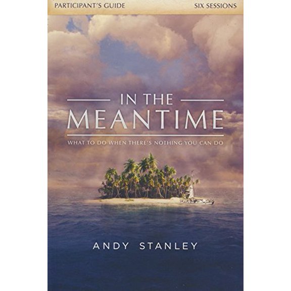 Pre-Owned In The Meantime Participant's Guide (Paperback) 0996118071 9780996118071