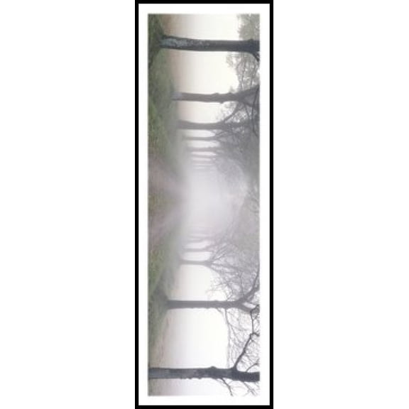 In The Midst Laminated & Framed Poster (12 x 36)