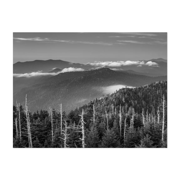 In The Smokies B&W - Tennessee Photography Black and White Mountain Landscape Nature Forest Scenic Winter Unframed Wall Art Print 6 x 8 inches