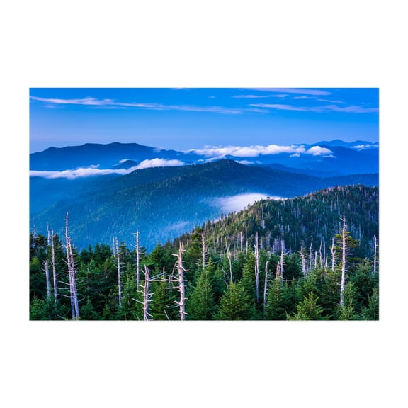 In The Smokies - Tennessee Photography Unframed Wall Art Print 5 x 7 inches
