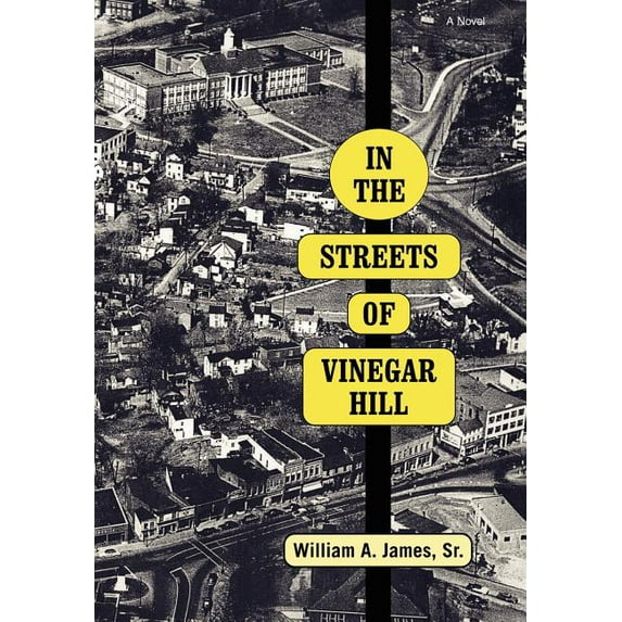 In the Streets of Vinegar Hill