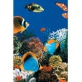 thumbnail image 1 of In The Swim 21  Foot  Round Overlap Above Ground Pool Liner - Caribbean - 20-Gauge, 1 of 4
