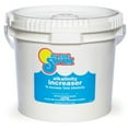 In The Swim Alkalinity Increaser pH Balancer & Chemical Increase for Pools, 100 Sodium