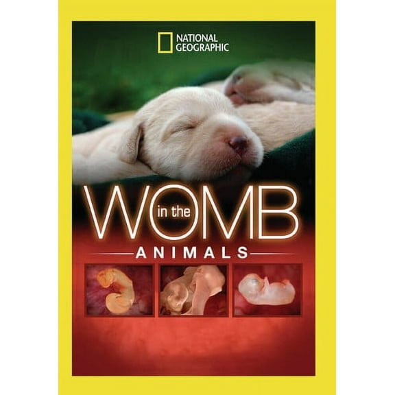 In The Womb: Animals (DVD), National Geographic, Drama