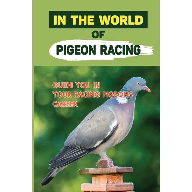 In The World Of Pigeon Racing Guide You In Your Racing Pigeons Career