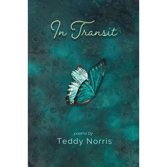 In Transit, (Paperback)