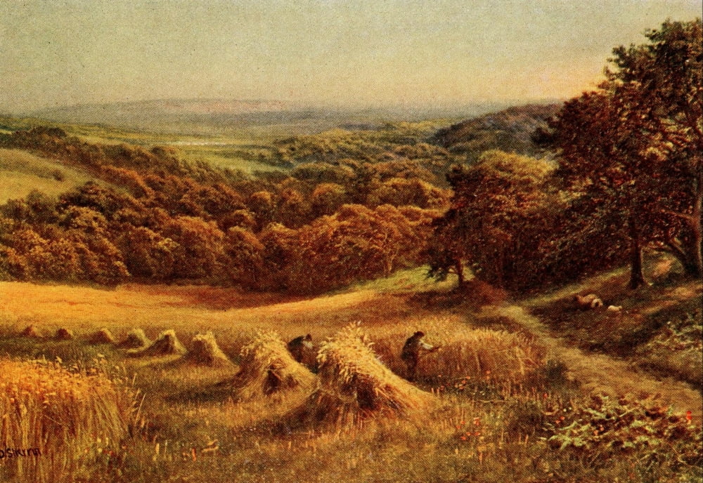 In Unfamiliar England 1910 Sussex Harvest field Canvas Art - Daniel Sherrin (24 x 36)