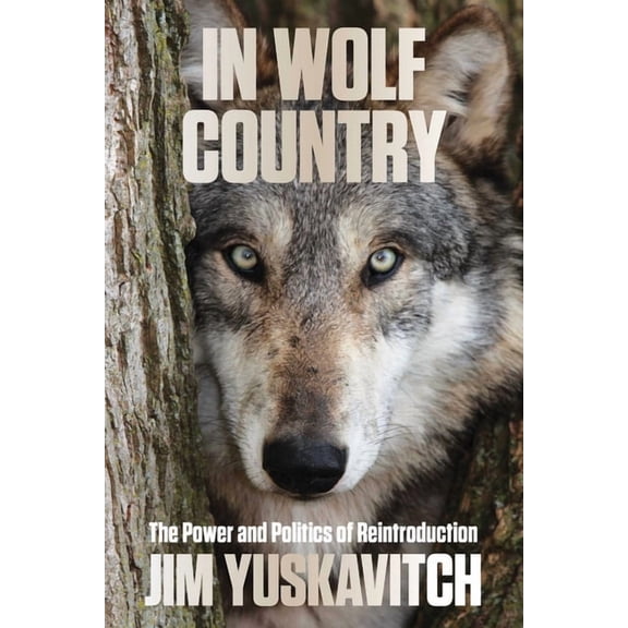 In Wolf Country: The Power and Politics of Reintroduction, (Paperback)