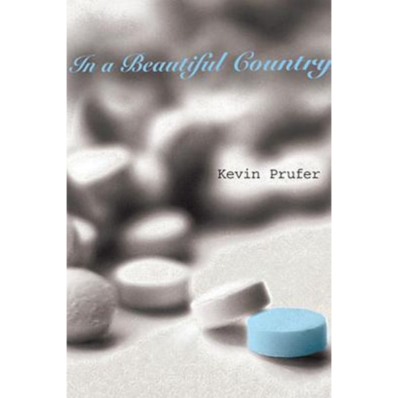 Pre-Owned In a Beautiful Country (Paperback) 1935536117 9781935536116