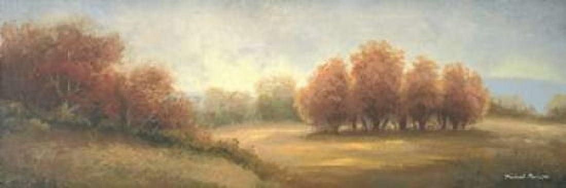 In a Distant Season I Canvas Art - Michael Marcon (8 x 24)