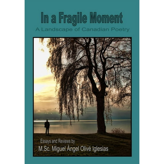 In a Fragile Moment: A Landscape of Canadian Poetry, (Paperback)