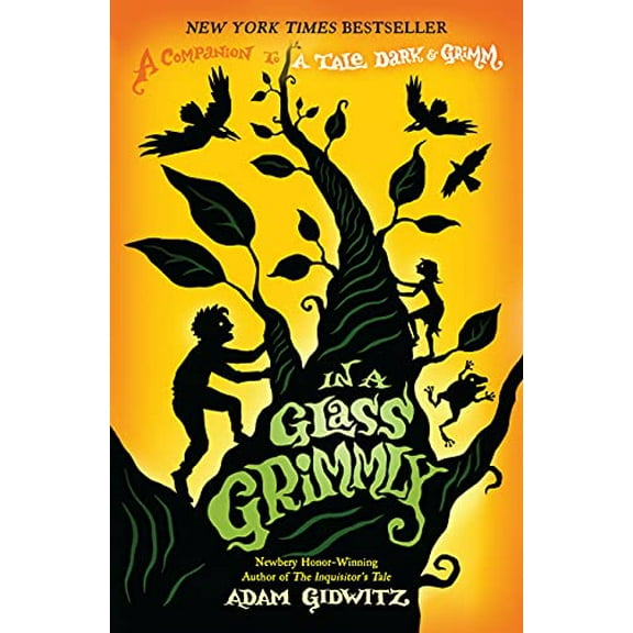Pre-Owned In a Glass Grimmly: A Companion to a Tale Dark & Grimm (Paperback) 0142425060 9780142425060
