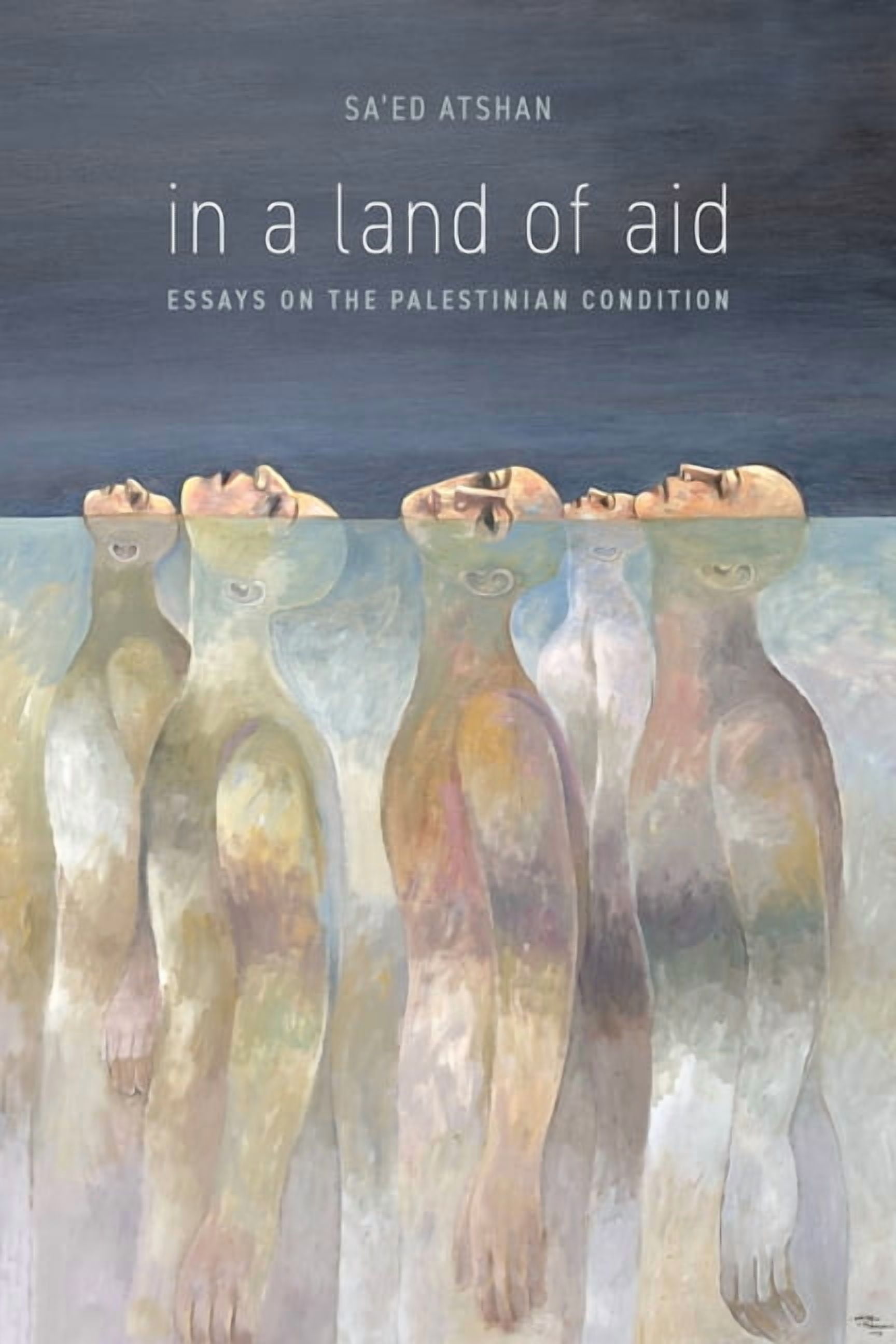 In a Land of Aid: Essays on the Palestinian Condition, (Hardcover)
