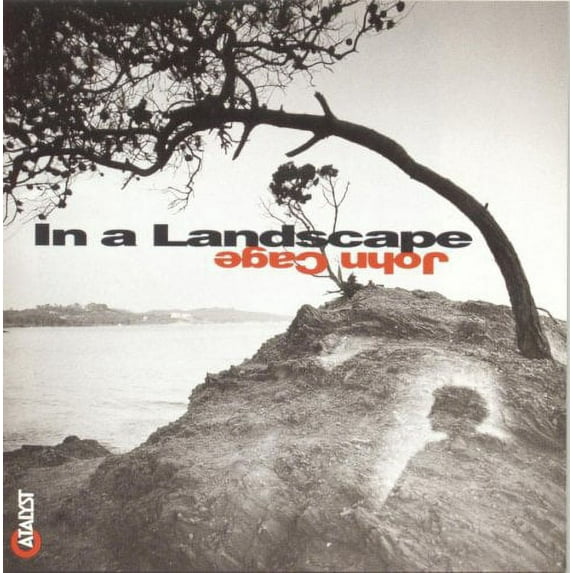 In a Landscape