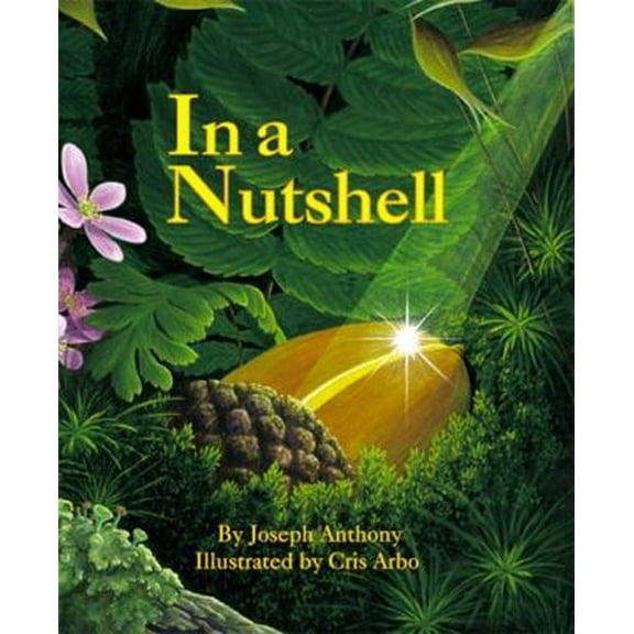 Pre-Owned In a Nutshell (Paperback) 188322098X 9781883220983