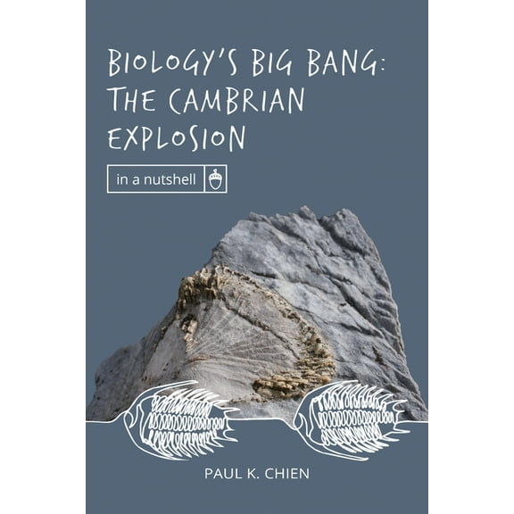 In a Nutshell Biology's Big Bang: The Cambrian Explosion, (Paperback)